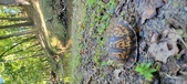 Enlarge photo 281