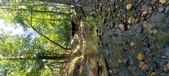 Enlarge photo 276