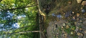 Enlarge photo 275