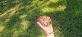Enlarge photo 266