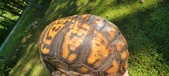Enlarge photo 258