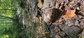 Enlarge photo 183