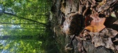 Enlarge photo 180