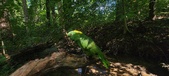 Enlarge photo 177