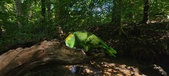 Enlarge photo 178