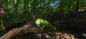 Enlarge photo 174