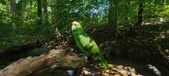Enlarge photo 171