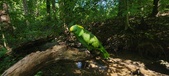 Enlarge photo 167