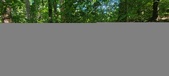 Enlarge photo 154