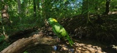 Enlarge photo 168