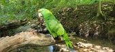 Enlarge photo 164