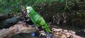 Enlarge photo 144