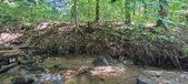 Enlarge photo 141