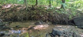 Enlarge photo 137