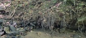 Enlarge photo 134