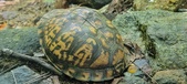 Enlarge photo 58