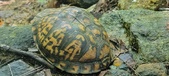 Enlarge photo 57