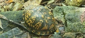 Enlarge photo 53