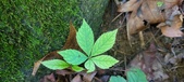 Enlarge photo 56