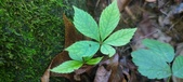 Enlarge photo 49