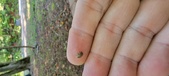 Enlarge photo 47