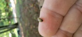 Enlarge photo 39