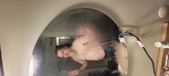 Enlarge photo 194