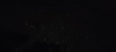 Enlarge photo 427
