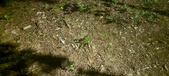 Enlarge photo 425