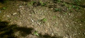 Enlarge photo 424