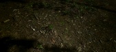 Enlarge photo 423