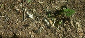 Enlarge photo 422