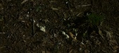 Enlarge photo 421