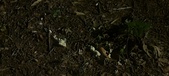 Enlarge photo 420