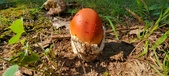 Enlarge photo 414