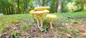 Enlarge photo 404