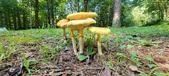Enlarge photo 403