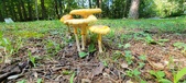 Enlarge photo 402
