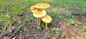 Enlarge photo 401
