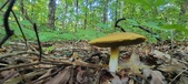 Enlarge photo 390
