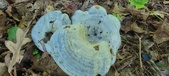 Enlarge photo 378