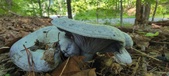 Enlarge photo 374