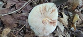 Enlarge photo 373