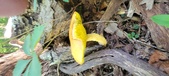 Enlarge photo 372