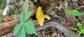 Enlarge photo 371