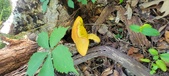 Enlarge photo 370