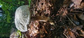 Enlarge photo 365