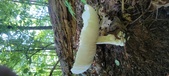 Enlarge photo 326