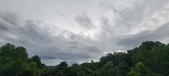 Enlarge photo 316