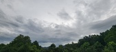 Enlarge photo 315